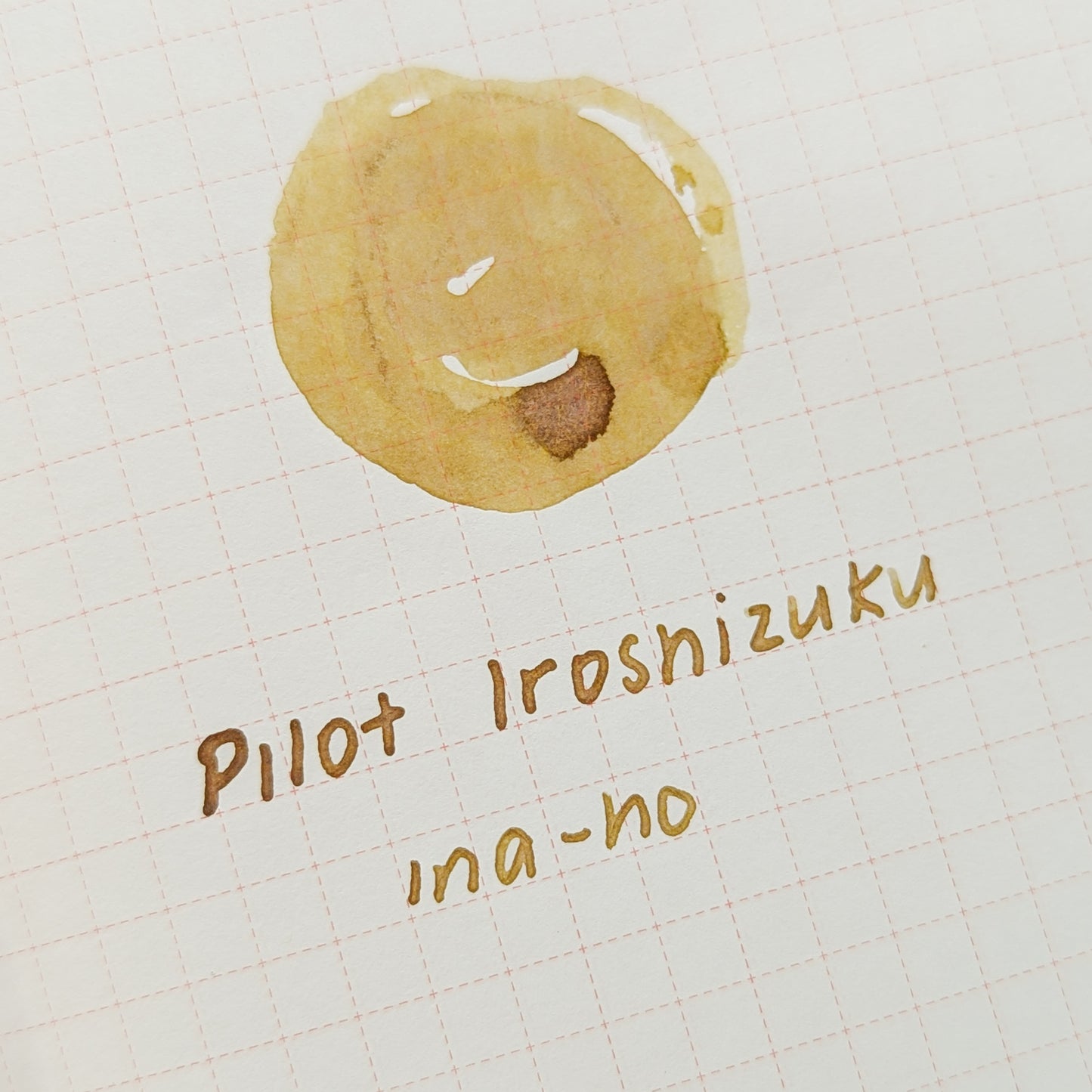 Pilot Iroshizuku - Ina-ho - Sleepy House Lion
