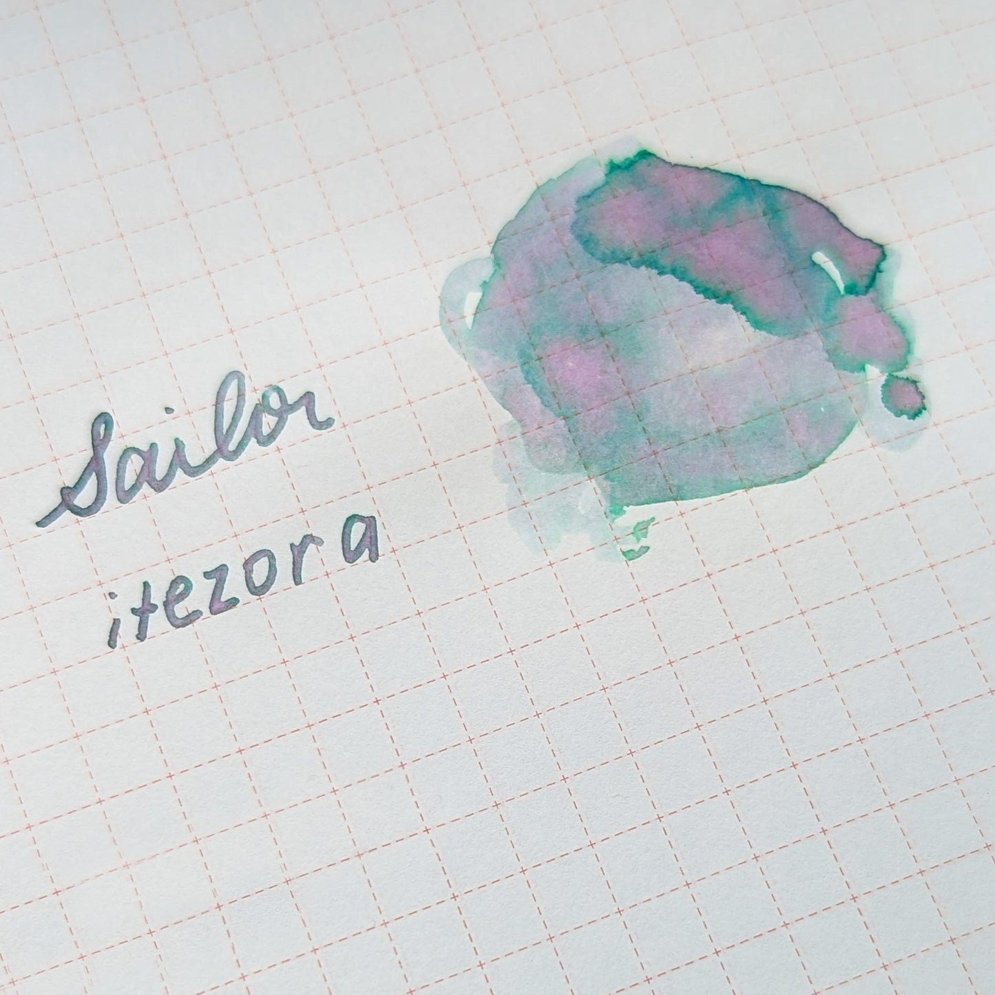 Sailor Yurameku - Itezora - Sleepy House Lion