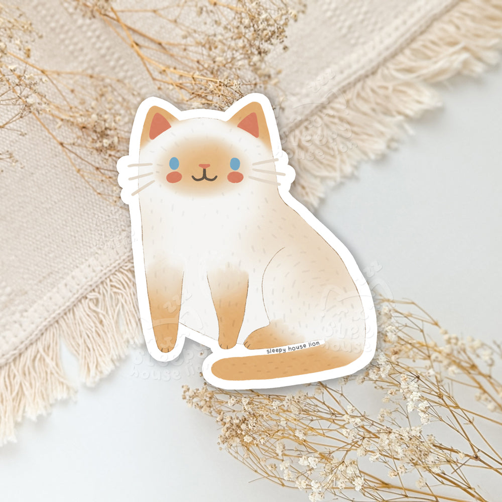 flame point ragdoll siamese cat vinyl sticker