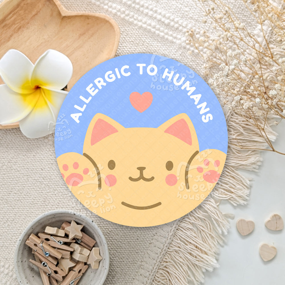 Cute & Funny Cats