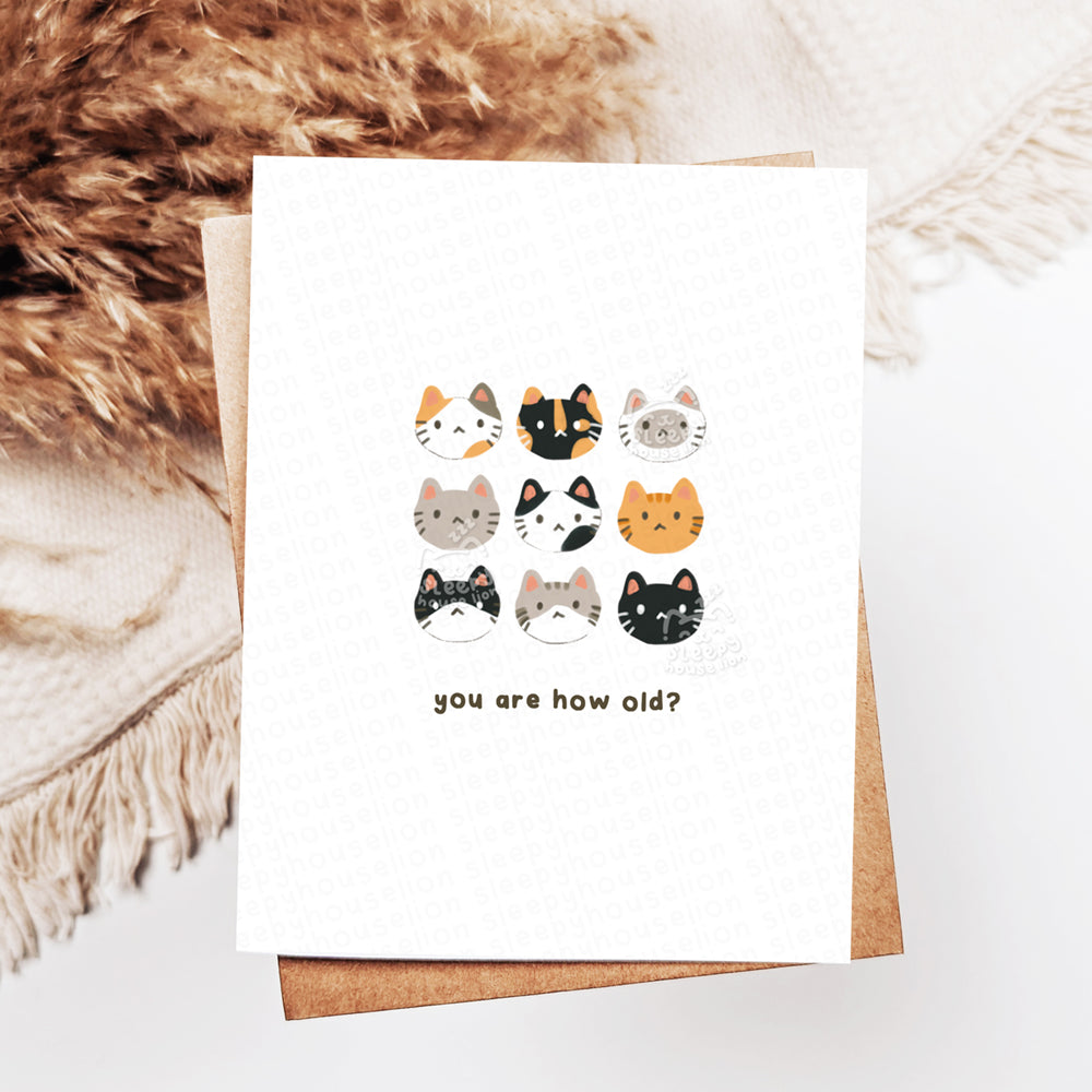 Greeting card with cat illustrations and text 'you are how old?' on a textured surface.