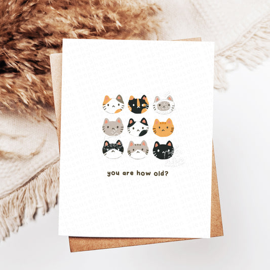 Greeting card with cat illustrations and text 'you are how old?' on a textured surface.