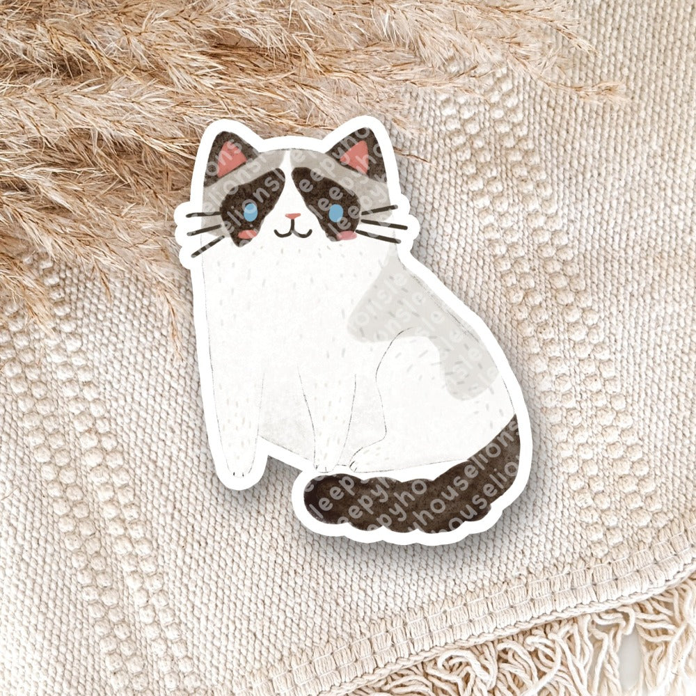 seal bicolor ragdoll cat vinyl sticker